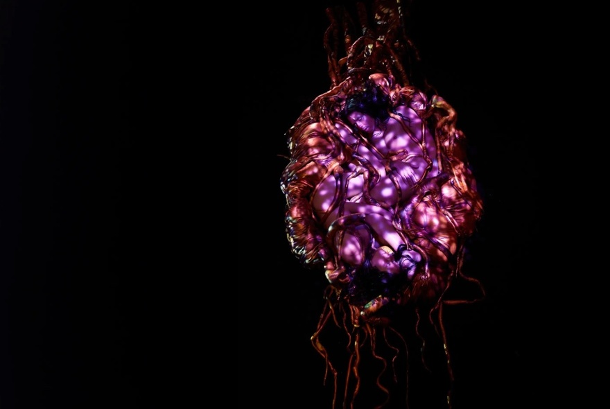 A purple and orange illuminated tangle in the darkness.