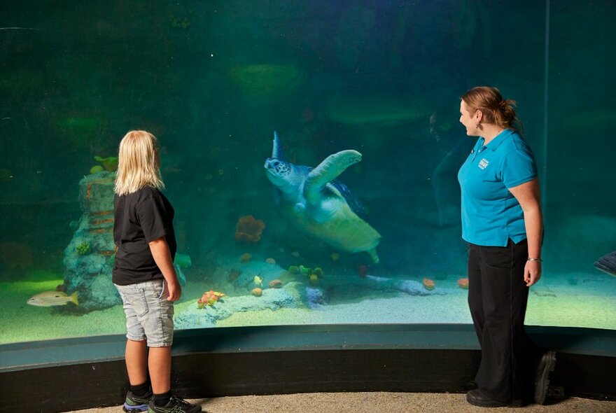 Two people standing and looking at a giant sea turtle swimming past them in an aquarium tank.
