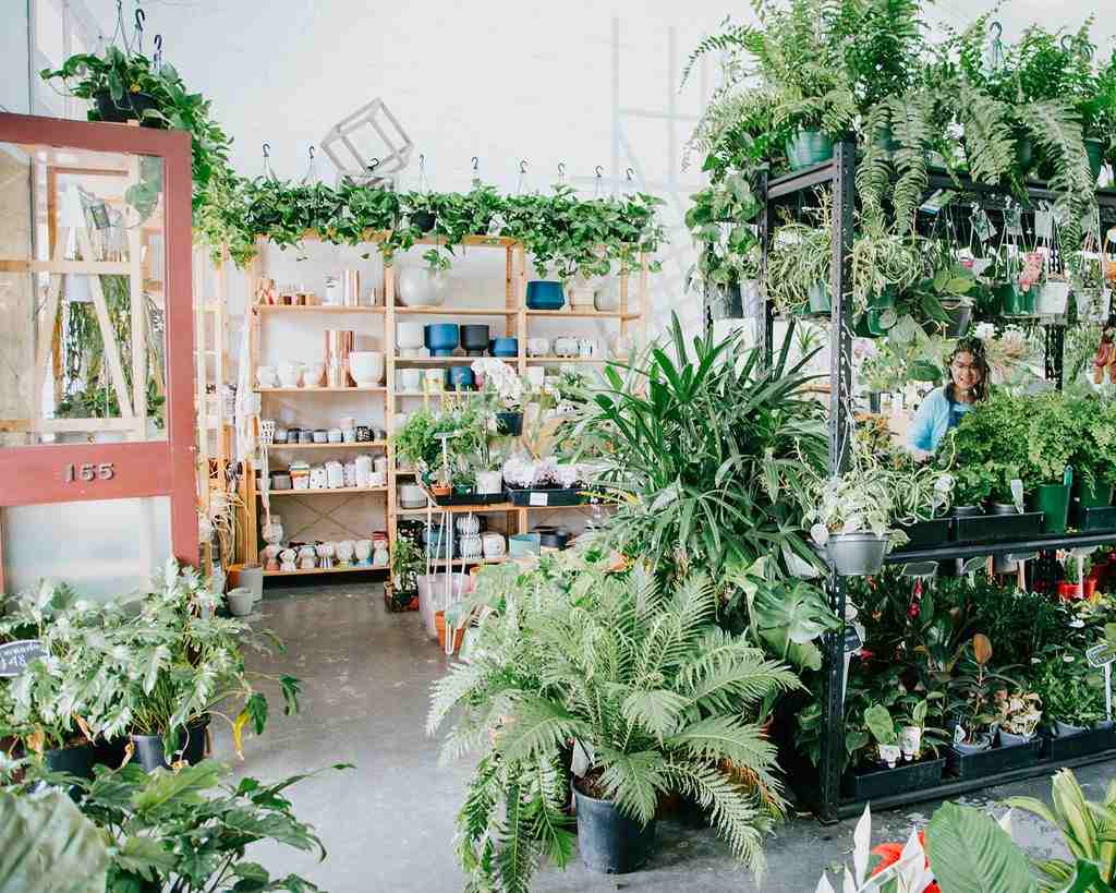 A plant shop