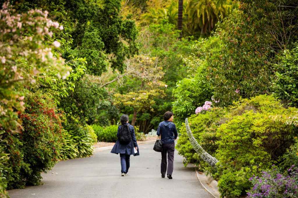 Two people walking down a path in a public gardens