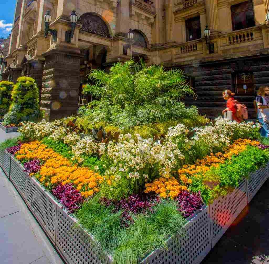A plant display outside a Town Hall
